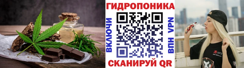 как найти наркотики  Шенкурск  Cannafood конопля 