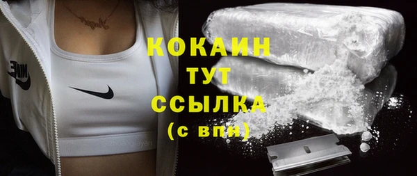 ECSTASY Алзамай