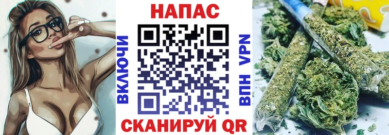 Бошки марихуана индика  Шенкурск 